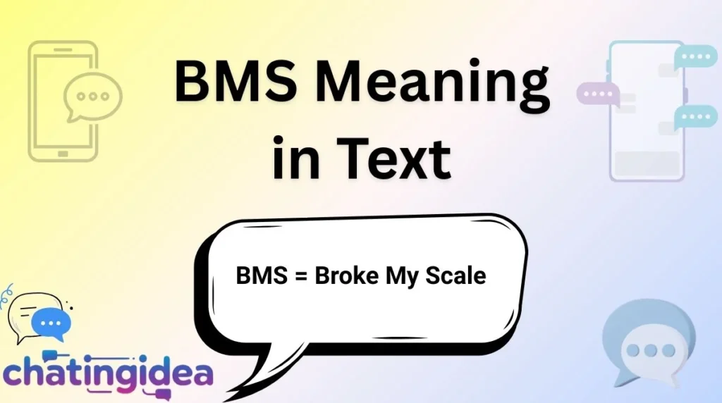 BMS Meaning in Text