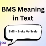 BMS Meaning in Text