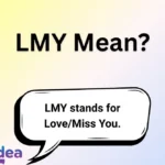 LMY Mean?