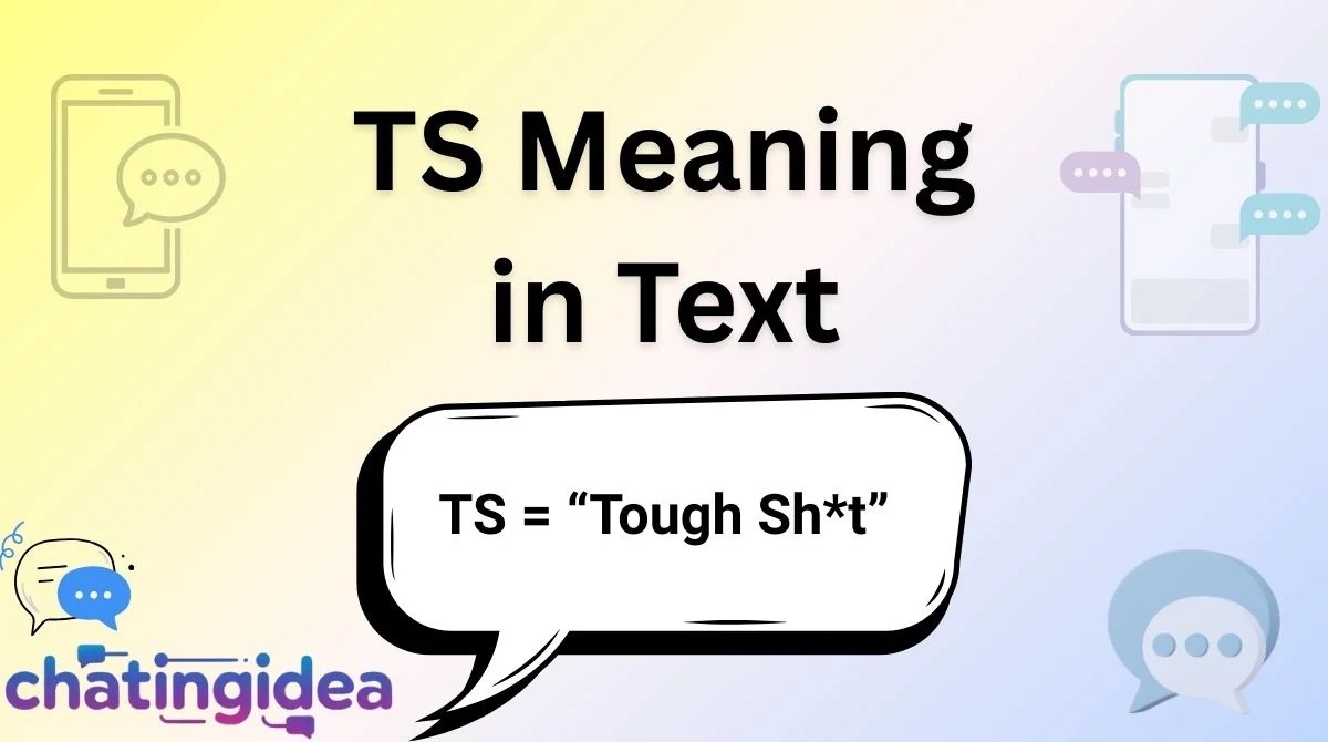 TS Meaning in Text