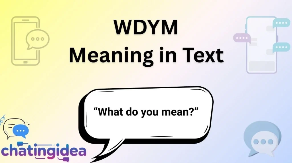 WDYM Meaning in Text