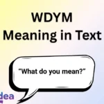 WDYM Meaning in Text