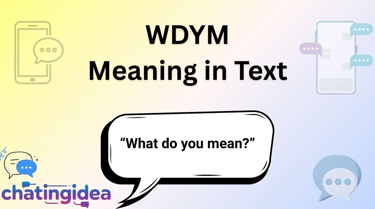 WDYM Meaning in Text