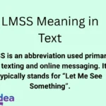 LMSS Meaning in Text
