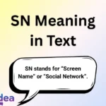 SN Meaning in Text