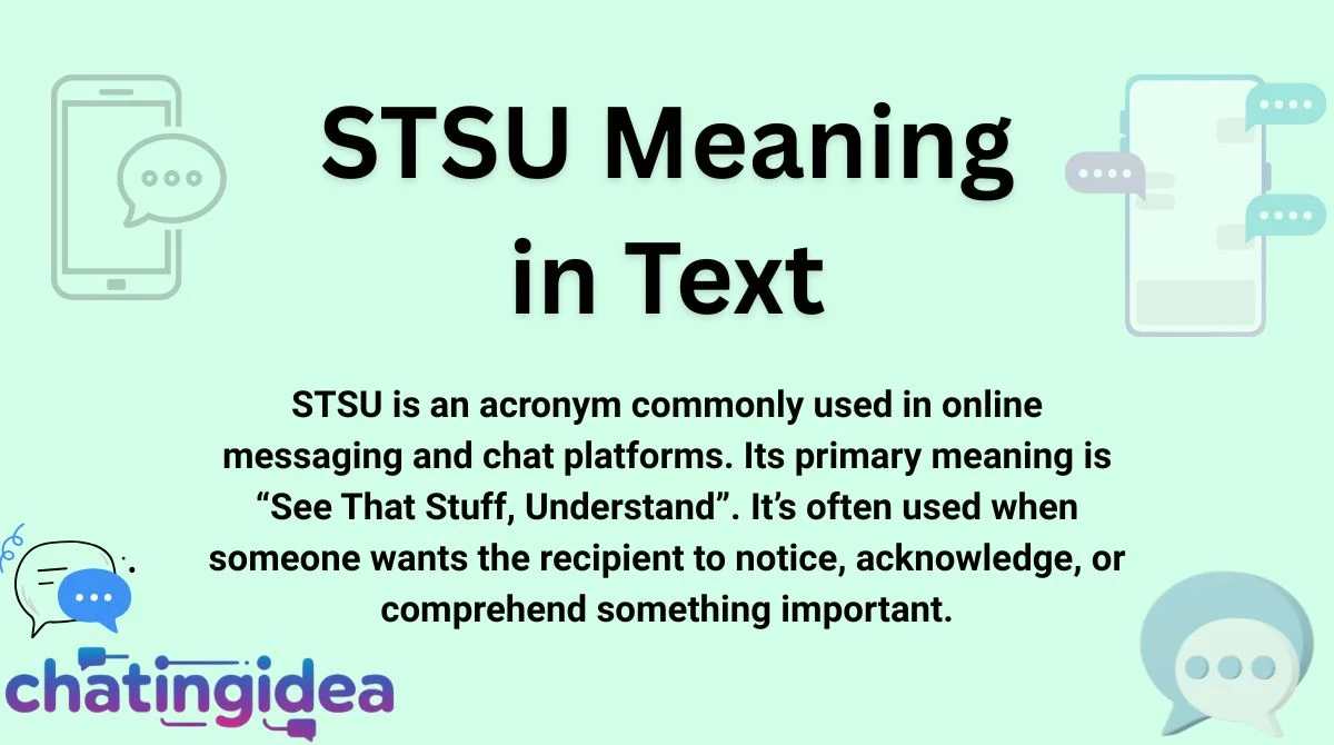 STSU Meaning in Text