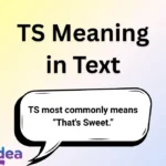 TS Meaning in Text