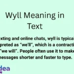 Wyll Meaning in Text