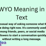 WYO Meaning in Text