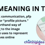 PFP Meaning in Text